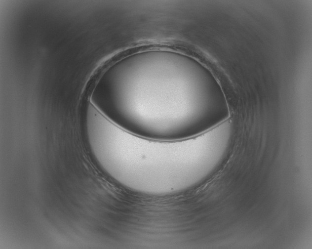 X0000073431214200607280956