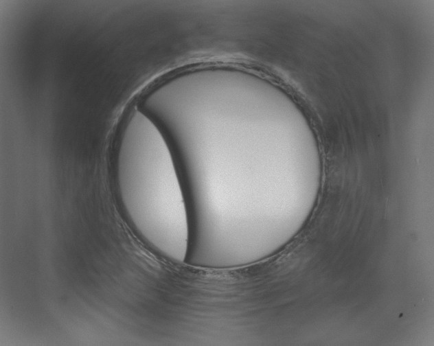 X0000073431215200607280956