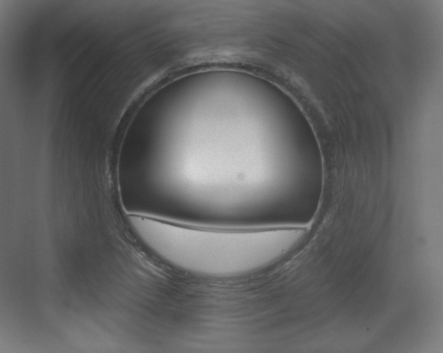 X0000073431218200607280956