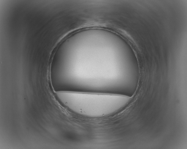 X0000073431220200607280956