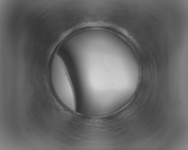 X0000073431221200607280956