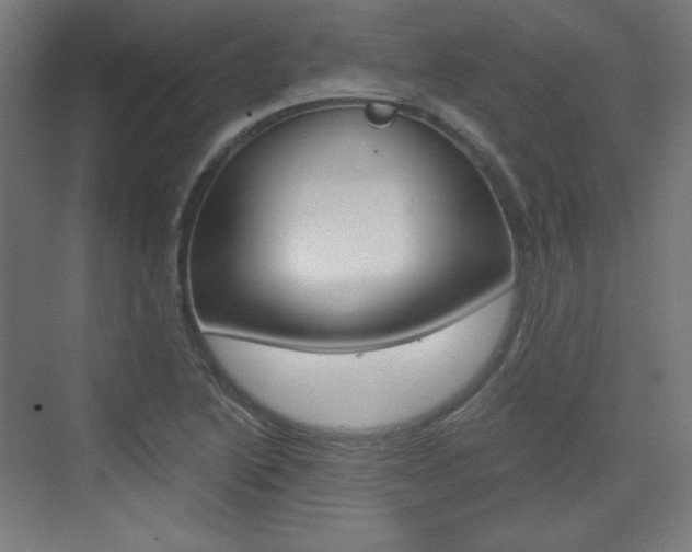 X0000073431222200607280956