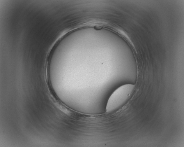 X0000073431227200607280957