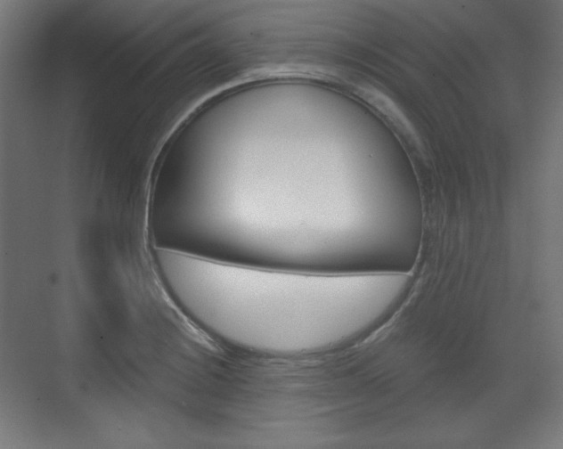 X0000073431228200607280957
