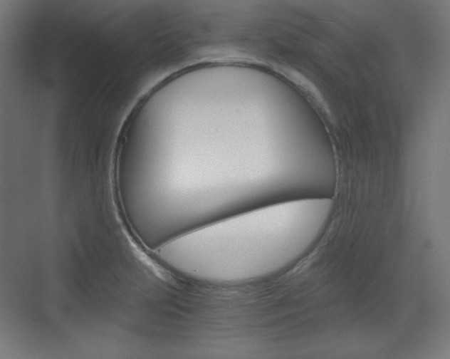 X0000073431231200607280957