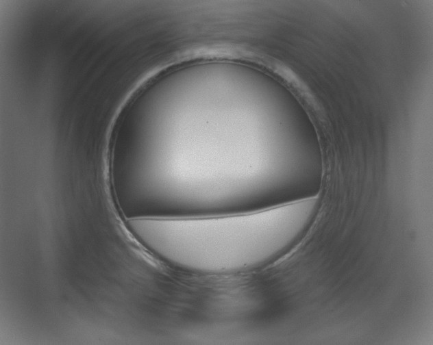 X0000073431232200607280957