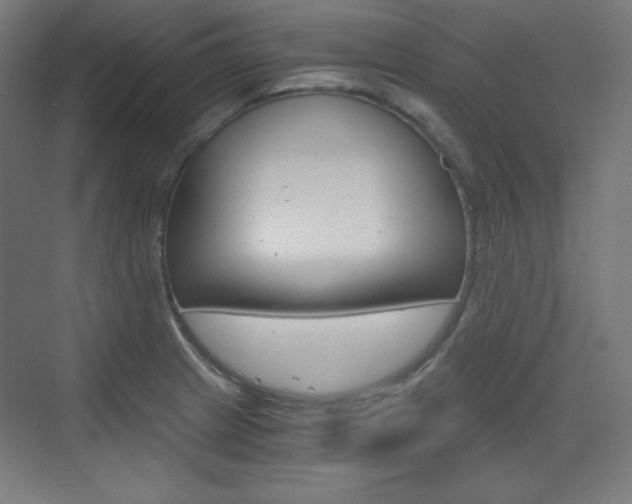 X0000073431233200607280957