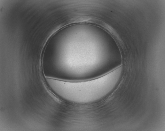 X0000073431234200607280957
