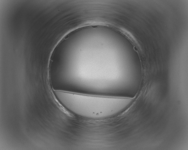 X0000073431236200607280957