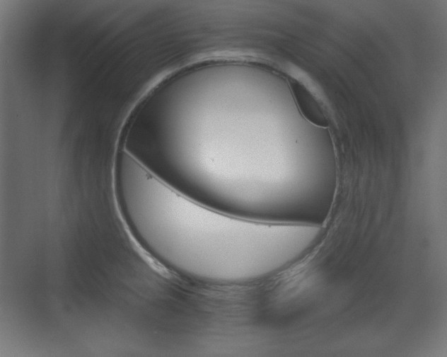 X0000073431237200607280957