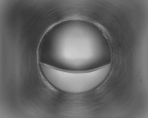 X0000073431238200607280957