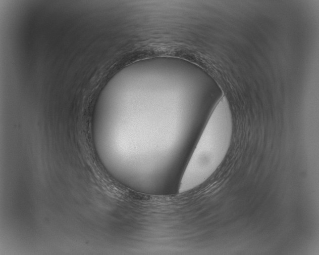 X0000073431249200607280956