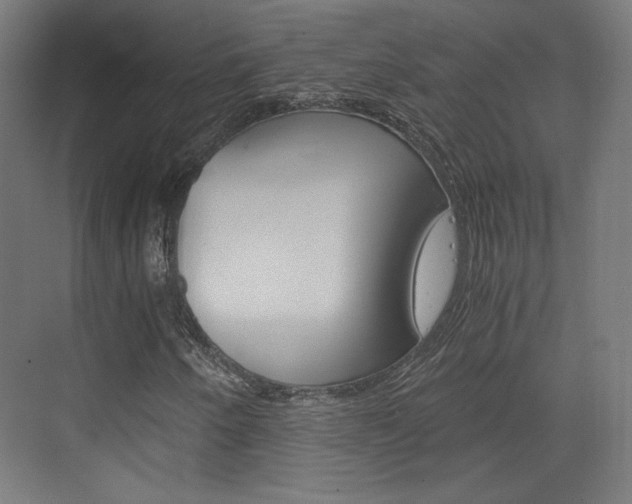 X0000073431250200607280956
