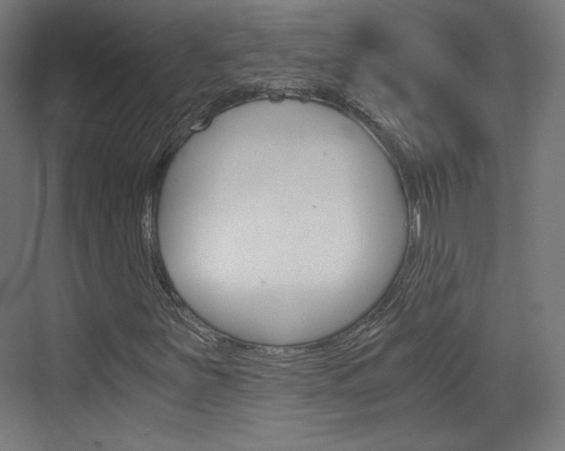 X0000073431251200607280956