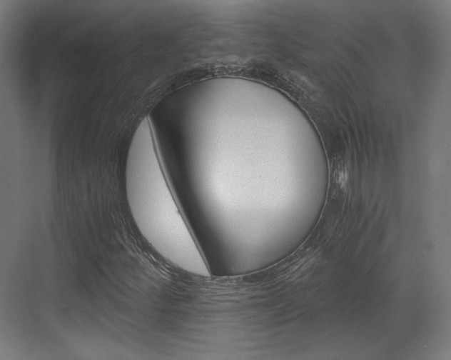 X0000073431252200607280956