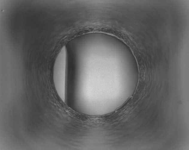 X0000073431253200607280956