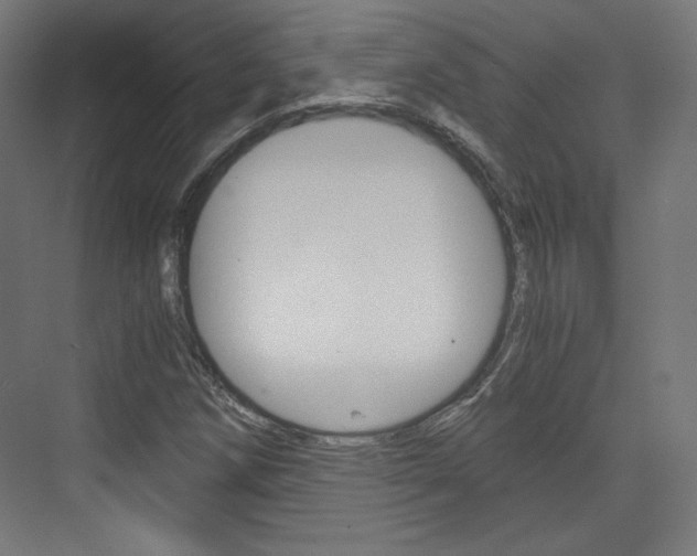 X0000073431258200607280956