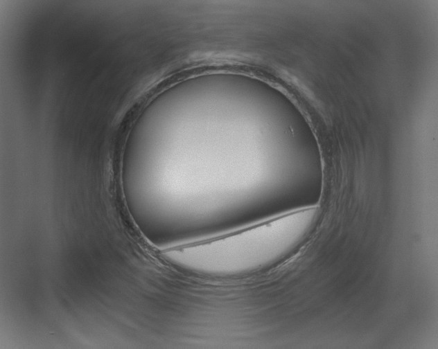 X0000073431261200607280956
