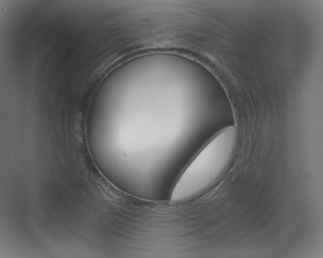 X0000073431265200607280956