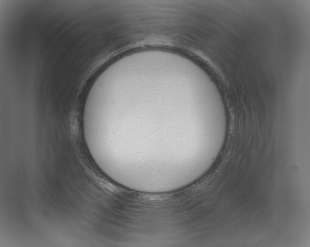 X0000073431266200607280956