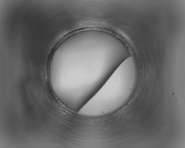 X0000073431267200607280956