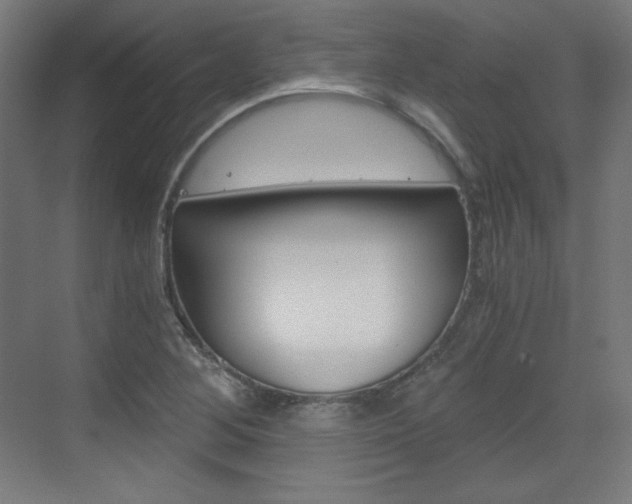 X0000073431268200607280956