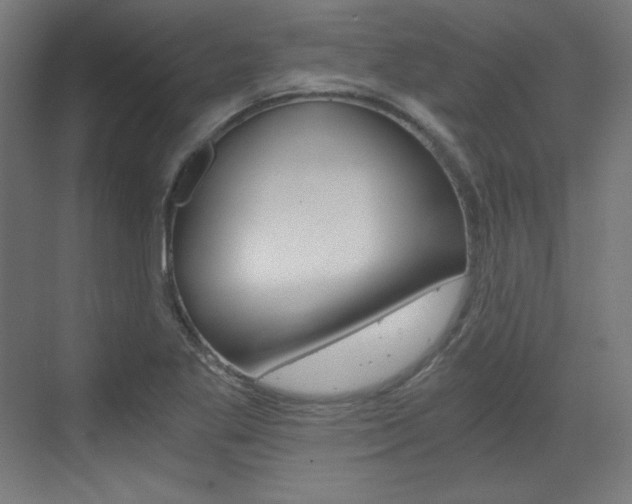 X0000073431269200607280956