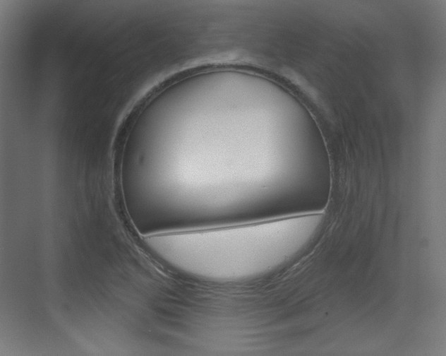 X0000073431270200607280956