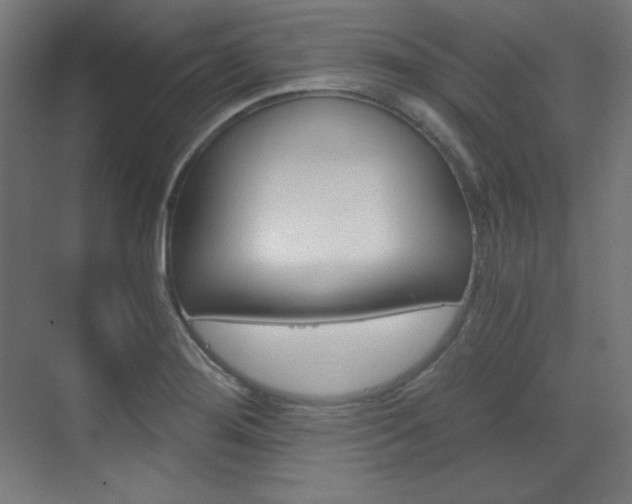X0000073431276200607280956