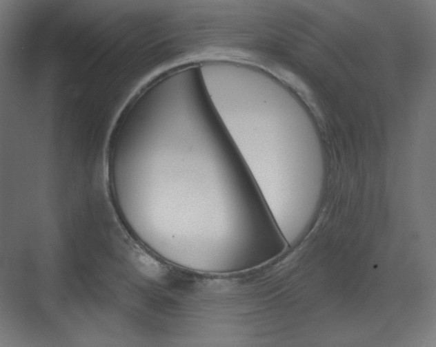 X0000073431280200607280956