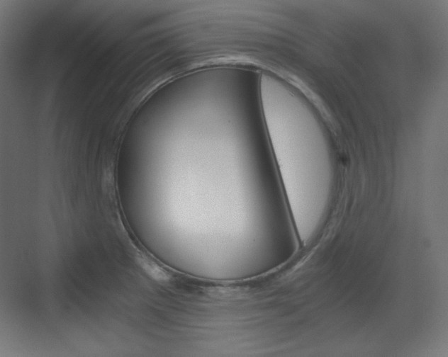 X0000073431281200607280956
