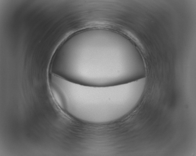 X0000073431283200607280956