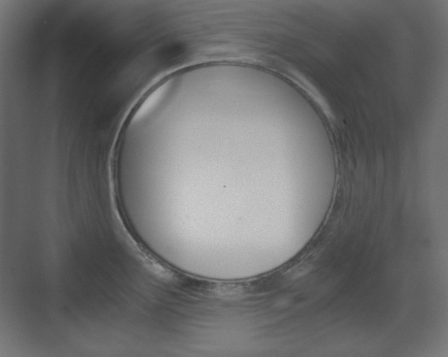 X0000073431291200607280955