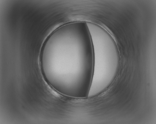X0000073431293200607280955