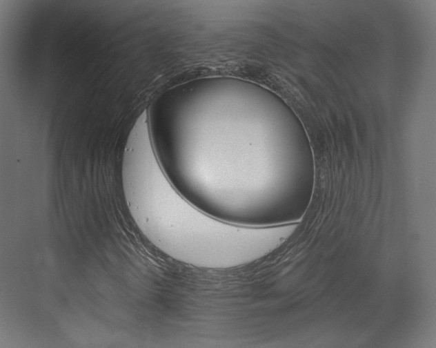 X0000073431298200607280955