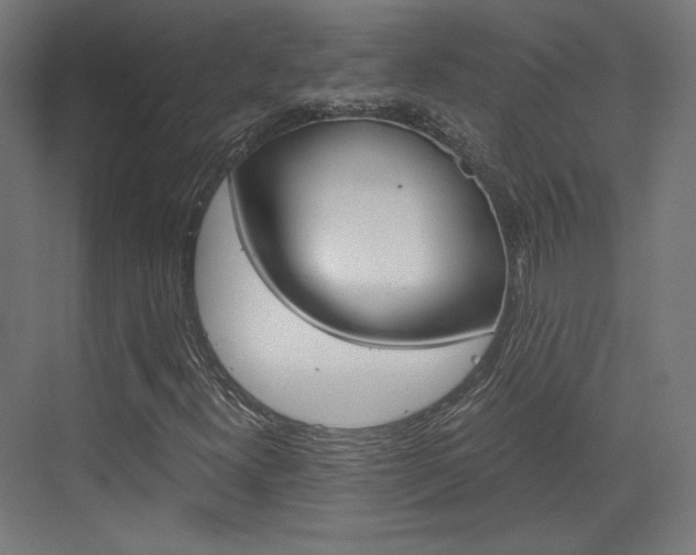 X0000073431300200607280955