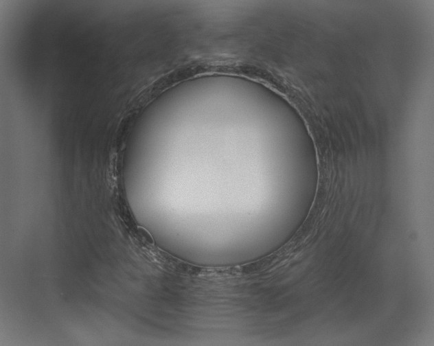 X0000073431301200607280955