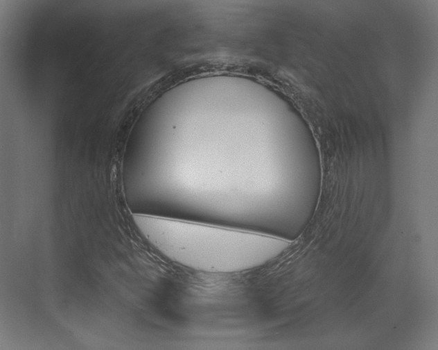 X0000073431302200607280955