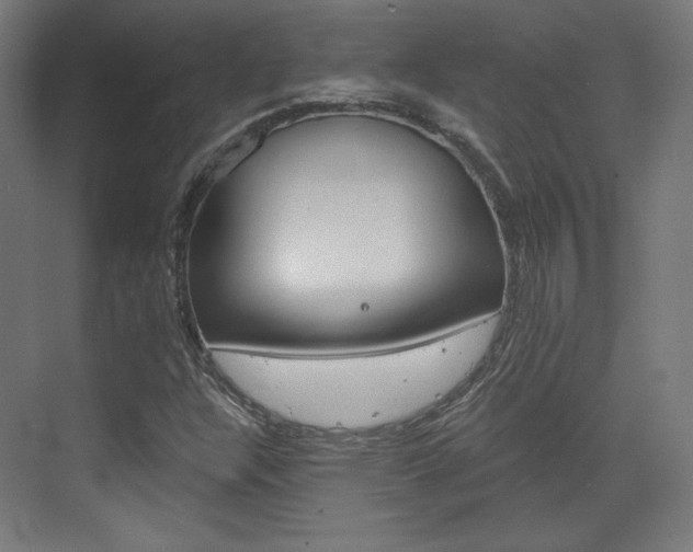 X0000073431304200607280955