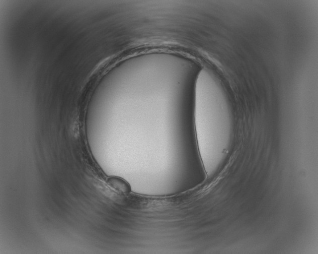 X0000073431306200607280955