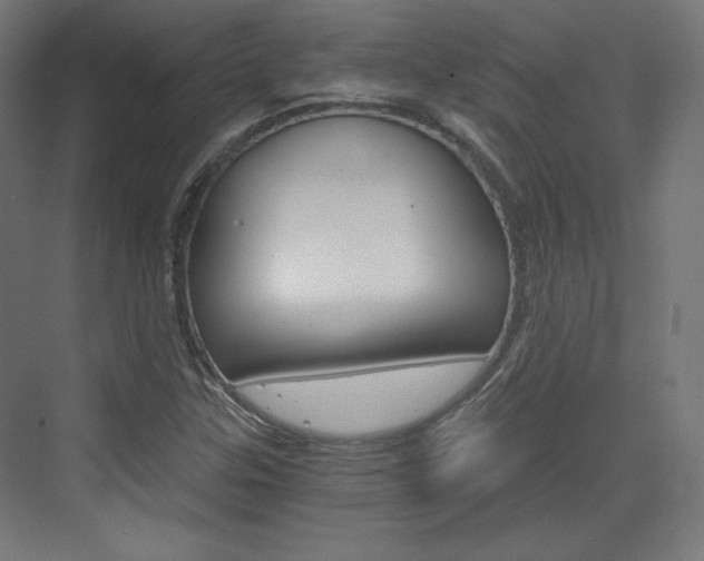 X0000073431307200607280955