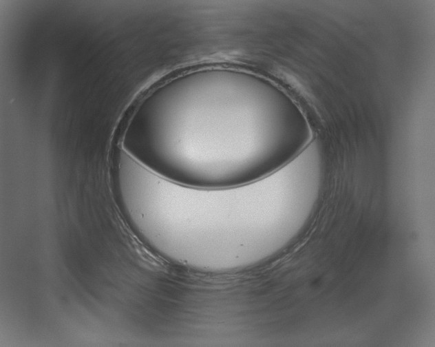 X0000073431308200607280955