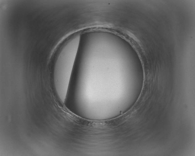 X0000073431310200607280955