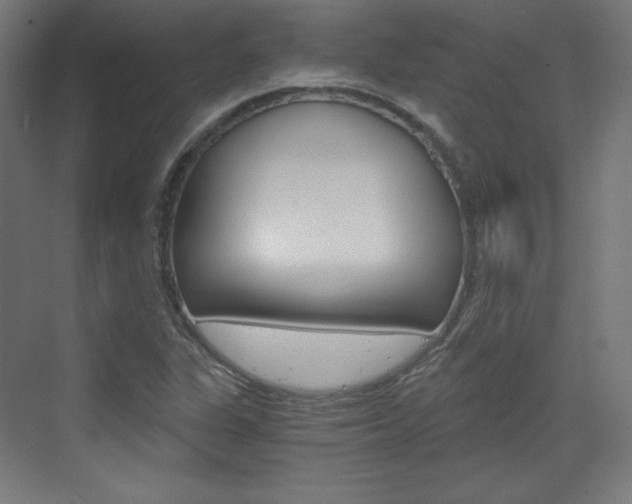 X0000073431311200607280955
