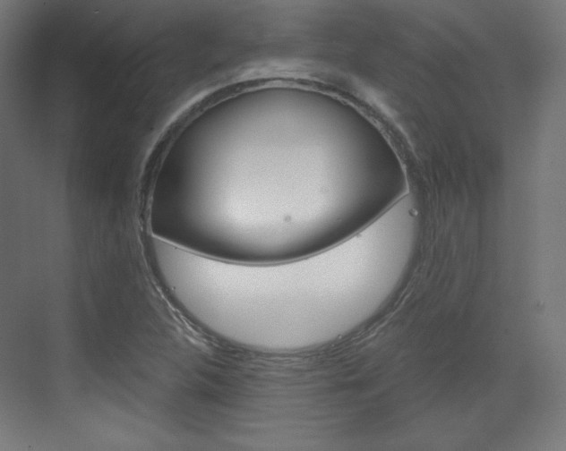 X0000073431312200607280955