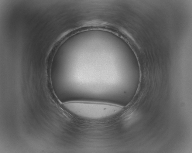 X0000073431315200607280955