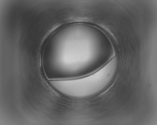 X0000073431317200607280955