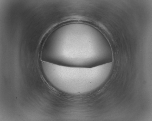 X0000073431318200607280955
