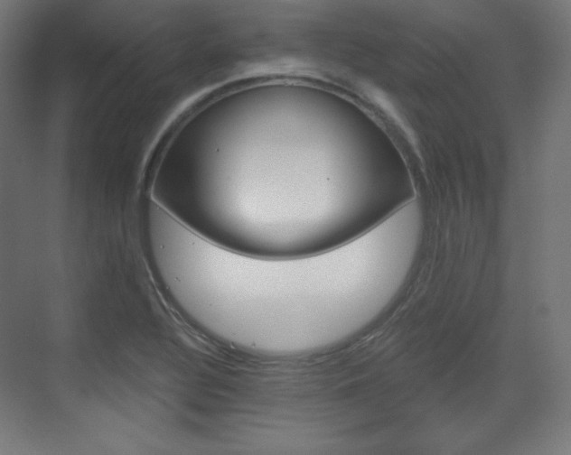 X0000073431320200607280955