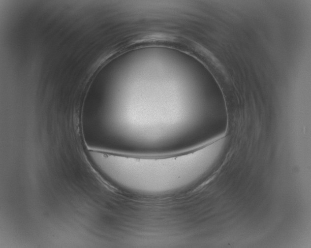 X0000073431321200607280955